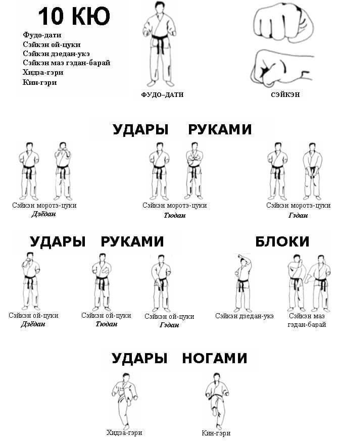 Нормативы экзамена на 10 кю