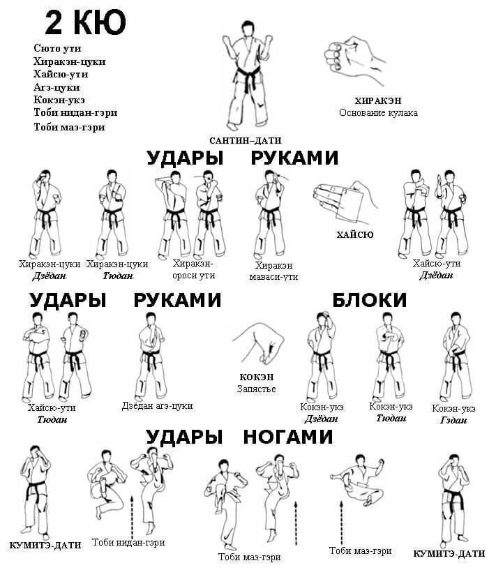 Схемы кихонов 2 кю