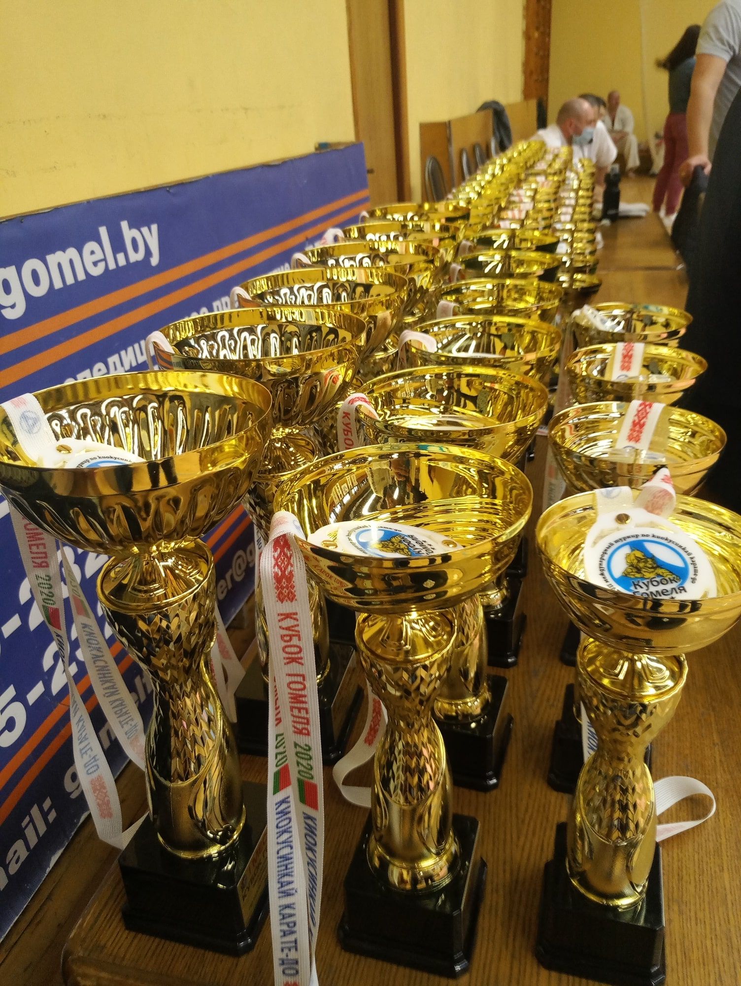 Турнир по киокушинкай карате «Кубок Гомеля» и первенство «Сакура над Сожем»