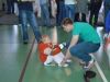 Участвовать в соревнованиях обязательно